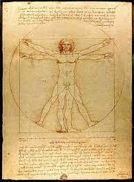 Leonardo Da Vinci Vitruvius insanı